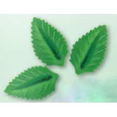 Wafer Leaves - Medium - Green