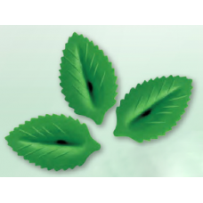 Wafer Leaves - Large - Green