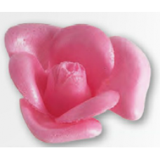 Wafer Roses - Large - Pink