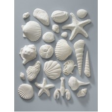 White Gum Paste Sea Shell Assortment