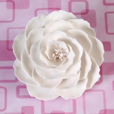 Briar Roses - Large - White