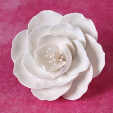 Briar Roses - Medium - White