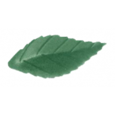 Wafer Rose Leaves - Small - Dark Green