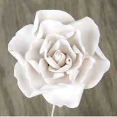 Gardenias - Medium - White