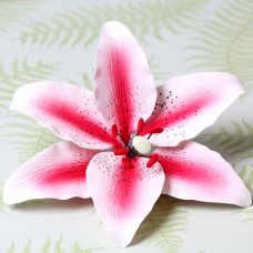 Stargazer Lilies - Hot Pink