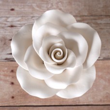 Old Fashion Roses - White