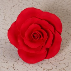 Garden Roses - Red