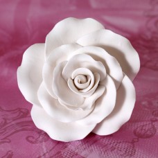 Garden Roses - White