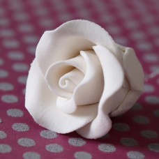 Tea Roses - Small - White