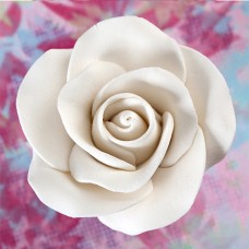 Tea Roses - Medium - White