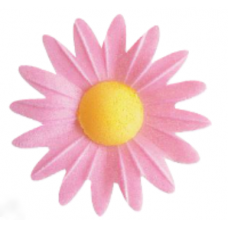 Daisies - Small - Pink