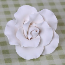 Cabbage Roses - White