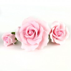 Garden Roses - Asst. sizes - Pink