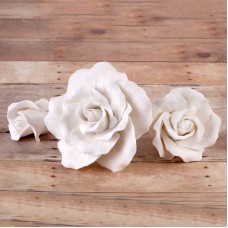 Garden Roses - Asst. sizes - White