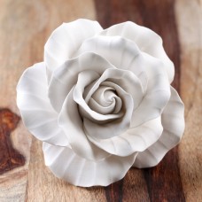 Garden Rose- Large - White