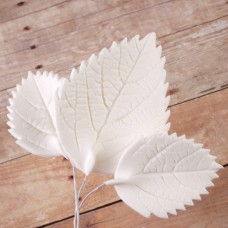 Hydrangea Leaves - Asst. - White