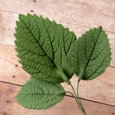 Hydrangea Leaves - Asst. - Green