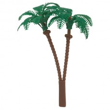 Small Palm Tree Pic