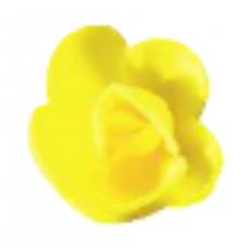 Wafer Roses - Mini - Yellow