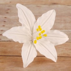 Small Open Daylilies - White