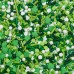 St-Patrick Fusion Sprinkles Mix