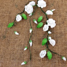 Long Stem Sweet Pea Fillers - White