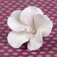 Fruit Blossoms - Medium - White