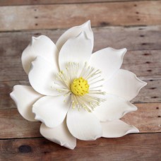 Lotus Flower - Large - White